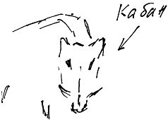 Александр Покровский - Тропик лейтенанта. Пиратское рондо