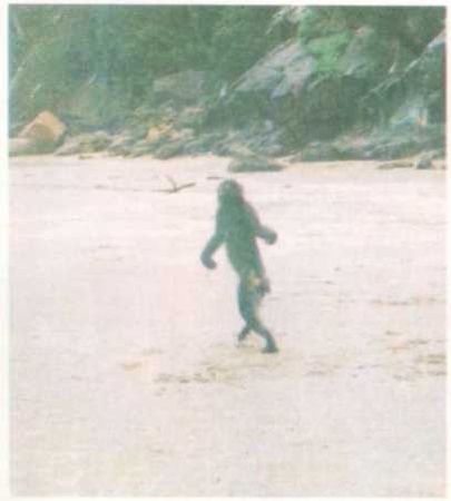 Бернгард Гржимек - От кобры до медведя гризли