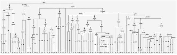 Анатолий Клёсов - Кому мешает ДНК-генеалогия?