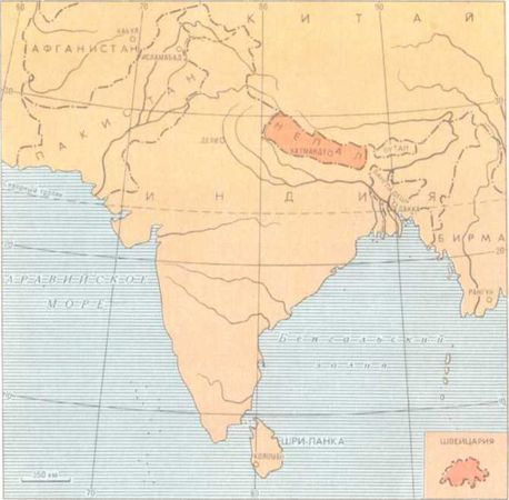 Бернгард Гржимек - От кобры до медведя гризли