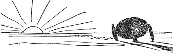 Эдвард Лир - Чистый nonsense (сборник)