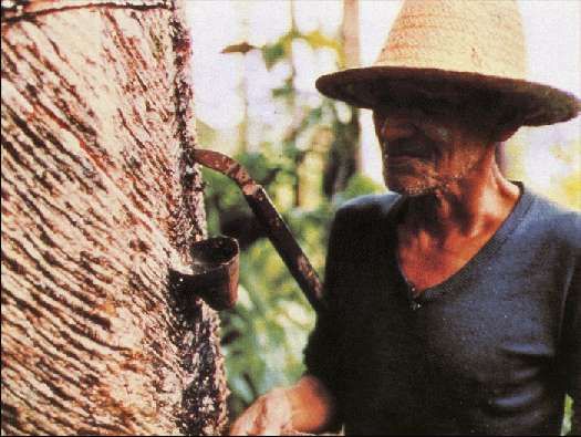 Карло Маури - Когда риск - это жизнь!