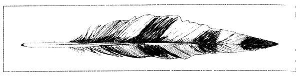 Габриэль Витткоп - Вечный альманах гарпий