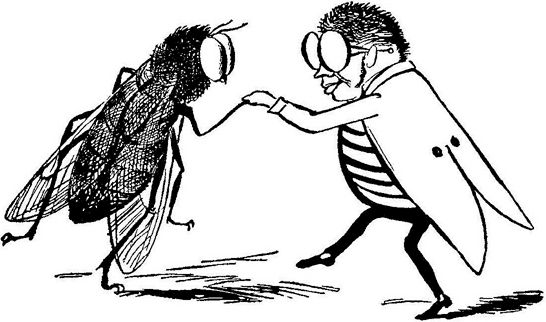 Эдвард Лир - Чистый nonsense (сборник)