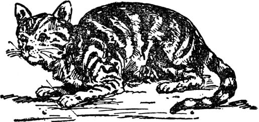 Эдвард Лир - Чистый nonsense (сборник)