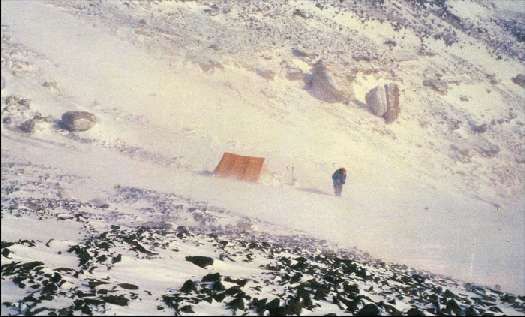 Карло Маури - Когда риск - это жизнь!