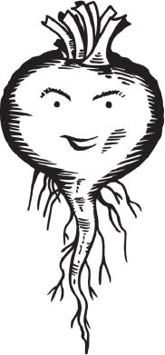 Анна Зорина - Огород и сад без хлопот и затрат