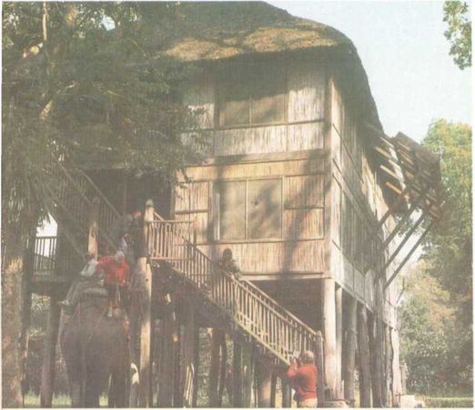 Бернгард Гржимек - От кобры до медведя гризли