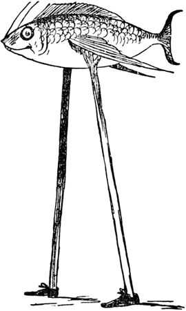 Эдвард Лир - Чистый nonsense (сборник)