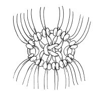 Светлана Ращупкина - Макраме для начинающих. Лучшие и оригинальные модели