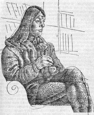 Яан Кросс - Окна в плитняковой стене