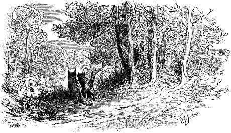 Александр Афанасьев - Народные русские сказки из собрания А. Н. Афанасьева