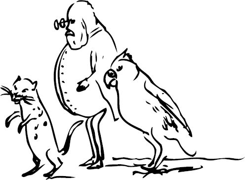 Эдвард Лир - Чистый nonsense (сборник)