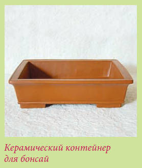 Мария Згурская - Бонсай