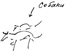 Александр Покровский - Тропик лейтенанта. Пиратское рондо