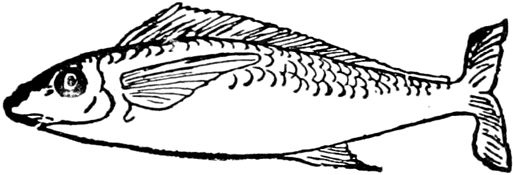 Эдвард Лир - Чистый nonsense (сборник)