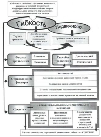 Евгений Головихин, Сергей Степанов - Теоретические и методические основы...