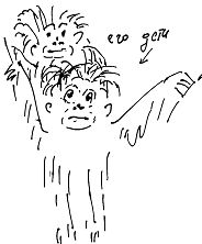 Александр Покровский - Тропик лейтенанта. Пиратское рондо