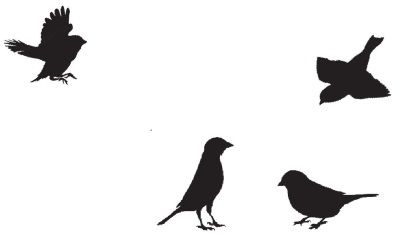 Монах Лазарь (Афанасьев) - Утренняя песнь