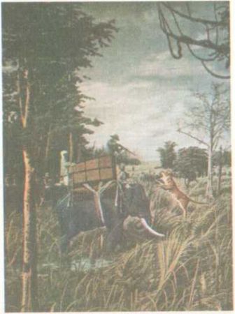 Бернгард Гржимек - От кобры до медведя гризли