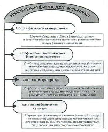 Евгений Головихин, Сергей Степанов - Теоретические и методические основы...