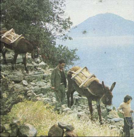 Карло Маури - Когда риск - это жизнь!