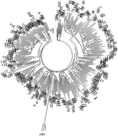 Анатолий Клёсов - Кому мешает ДНК-генеалогия?