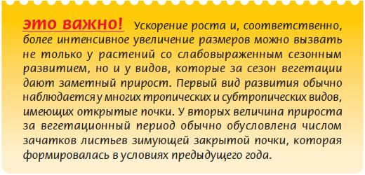 Мария Згурская - Бонсай