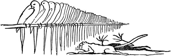 Эдвард Лир - Чистый nonsense (сборник)