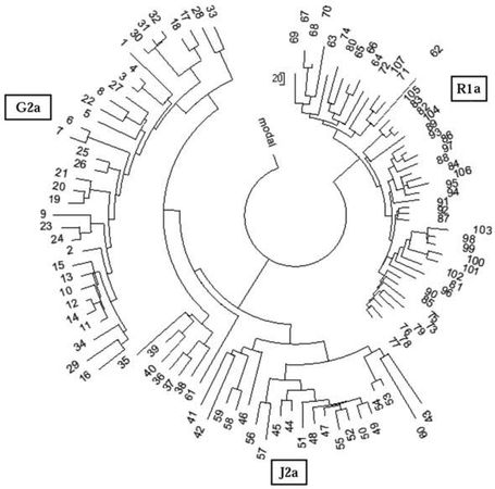 Анатолий Клёсов - Кому мешает ДНК-генеалогия?