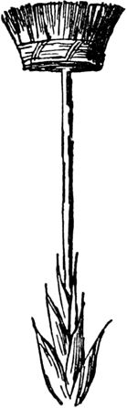 Эдвард Лир - Чистый nonsense (сборник)