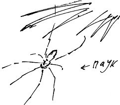 Александр Покровский - Тропик лейтенанта. Пиратское рондо