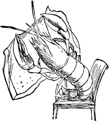Эдвард Лир - Чистый nonsense (сборник)