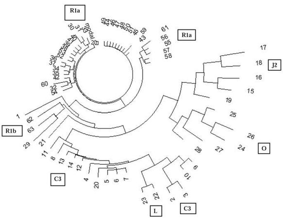 Анатолий Клёсов - Кому мешает ДНК-генеалогия?