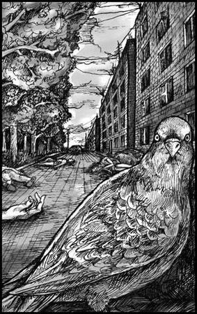 Наталья Шнейдер, Дмитрий Дзыговбродский - Сорные травы