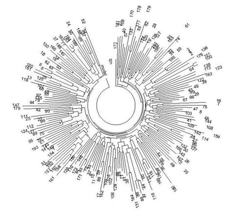 Анатолий Клёсов - Кому мешает ДНК-генеалогия?
