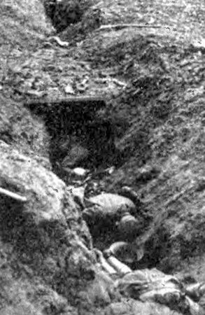 Алексей Ардашев - Великая окопная война. Позиционная бойня Первой мировой