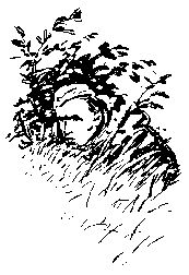 Сергей Зарубин - Тропой разведчика