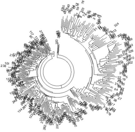 Анатолий Клёсов - Кому мешает ДНК-генеалогия?