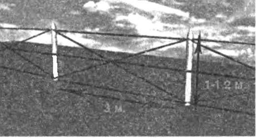 Алексей Ардашев - Великая окопная война. Позиционная бойня Первой мировой