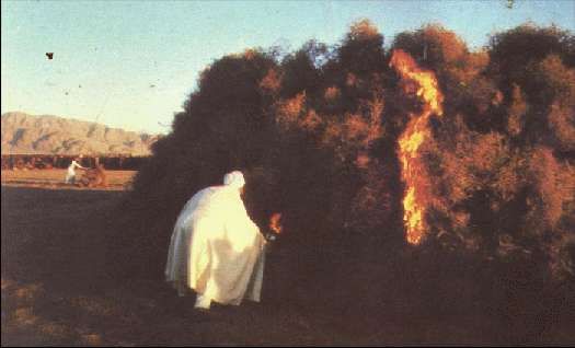 Карло Маури - Когда риск - это жизнь!