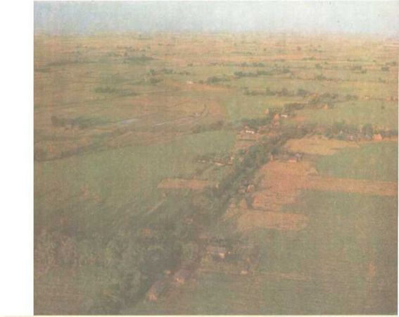 Бернгард Гржимек - От кобры до медведя гризли