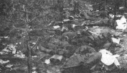 Алексей Ардашев - Великая окопная война. Позиционная бойня Первой мировой