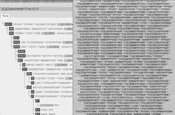 Анатолий Клёсов - Кому мешает ДНК-генеалогия?