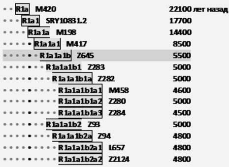 Анатолий Клёсов - Кому мешает ДНК-генеалогия?
