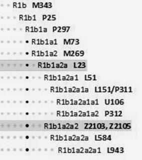 Анатолий Клёсов - Кому мешает ДНК-генеалогия?