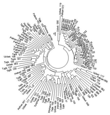 Анатолий Клёсов - Кому мешает ДНК-генеалогия?