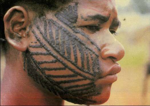 Карло Маури - Когда риск - это жизнь!