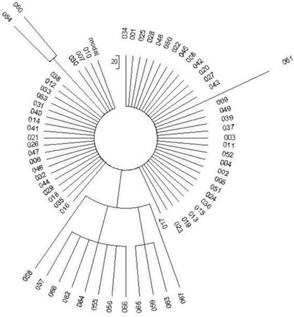 Анатолий Клёсов - Кому мешает ДНК-генеалогия?