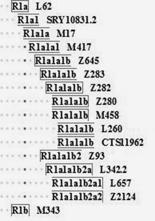 Анатолий Клёсов - Кому мешает ДНК-генеалогия?